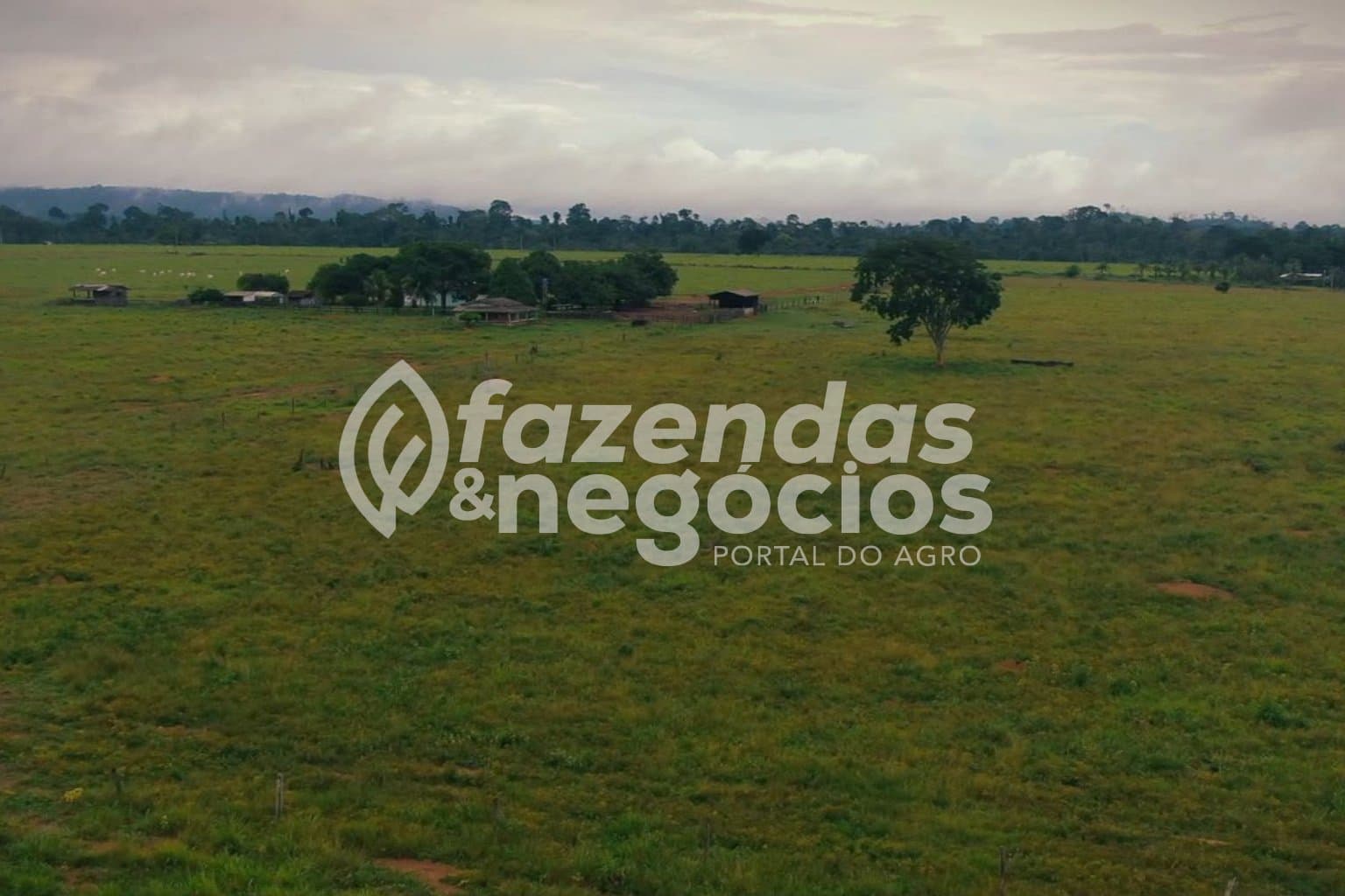 Fazenda a venda