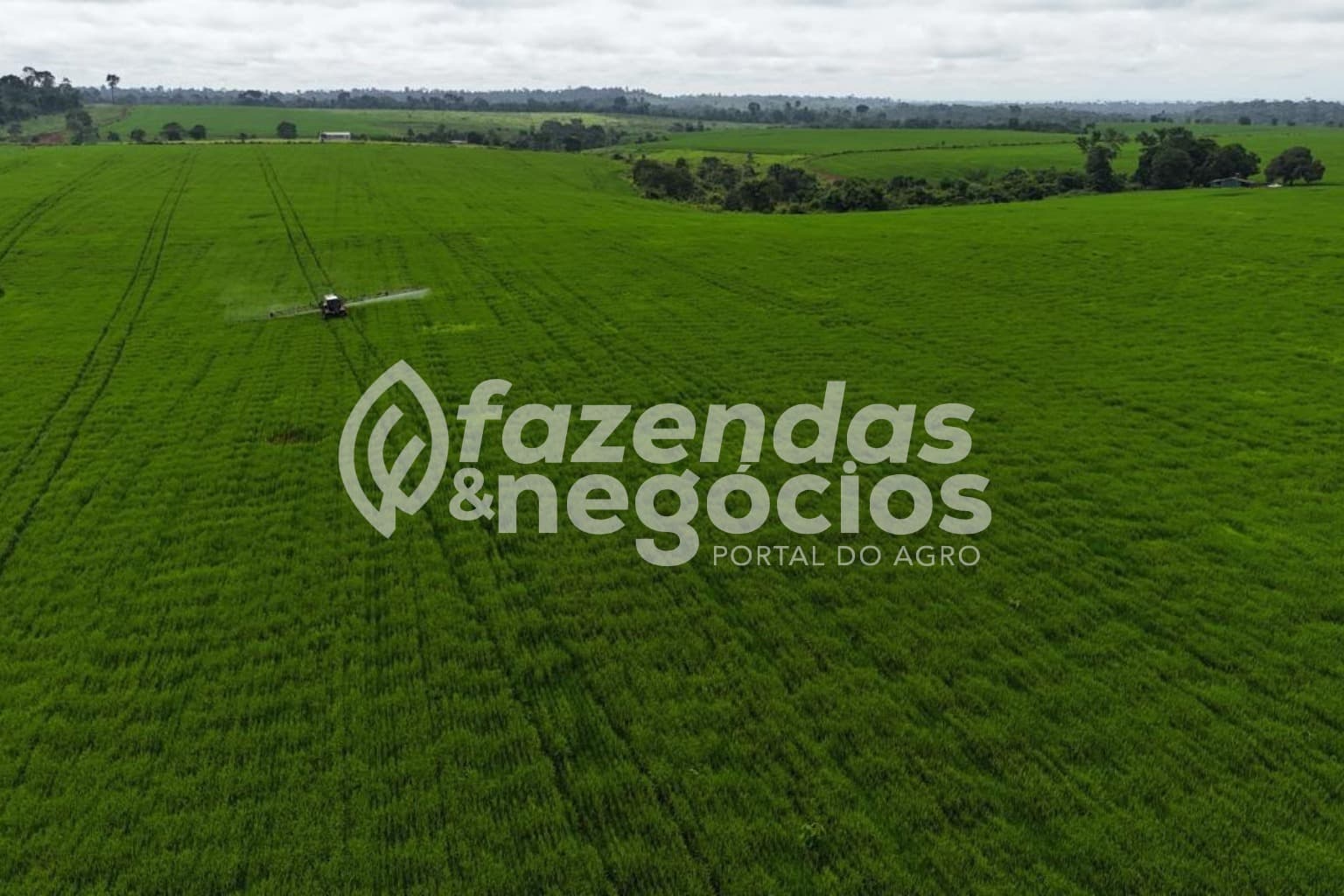 Fazenda a venda no Pará
