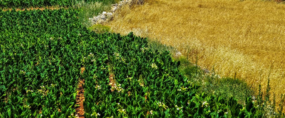Sítio Vale Verde